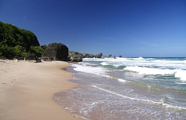 praia tropical - stone gray information sign coastline imagens e fotografias de stock