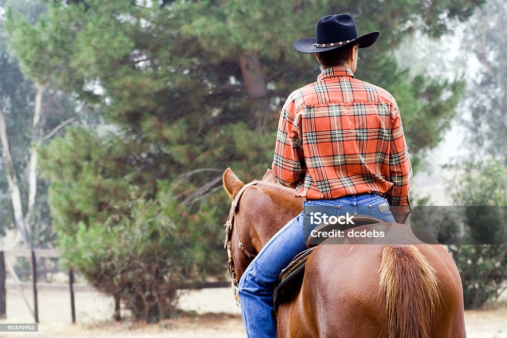 El Cowboy paseos de distancia - Foto de stock de Espalda - Partes del cuerpo libre de derechos
