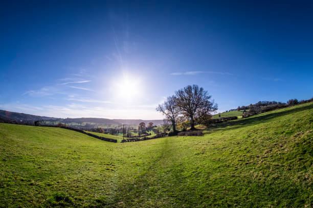 scène d’automne avec un chêne se découpant sur un ciel bleu lumineux dans les cotswolds, angleterre - vibrant color rural scene outdoors tree photos et images de collection