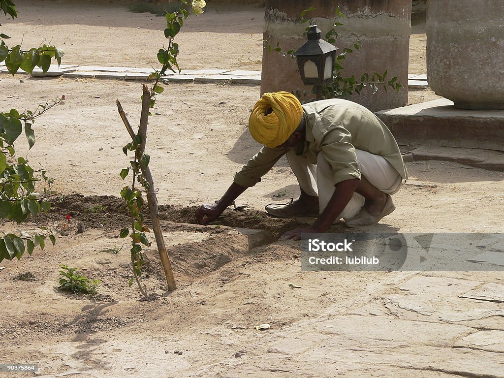 Gardener a trabalhar numa forte, Rjasthan Índia - Royalty-free Adulto Foto de stock