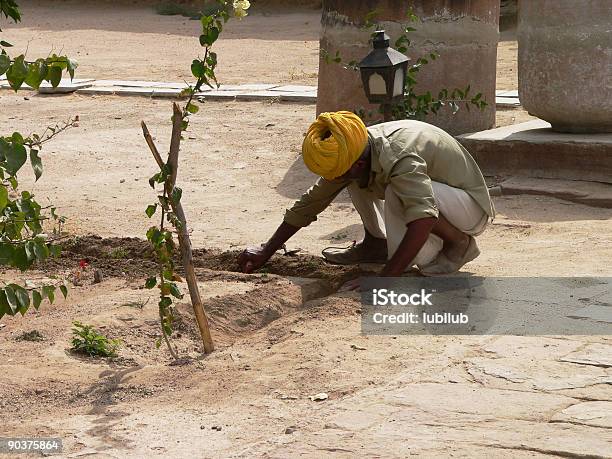 Gardener A Trabalhar Numa Forte Rjasthan Índia - Fotografias de stock e mais imagens de Adulto - Adulto, Aldeia, Amarelo