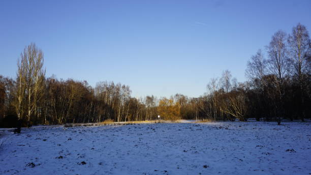 istock Winter season in Russia 903759040
