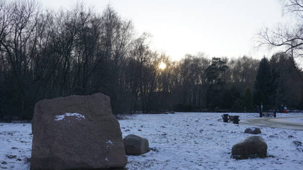 istock Winter season in Russia 903759104