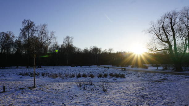 istock Winter season in Russia 903759324