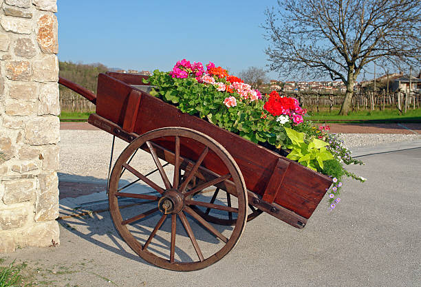Traditional Bulgarian wagon with wooden wheels with vases full of flowering plants  in the village of Arbanasi near Veliko Tarnovo, Bulgaria