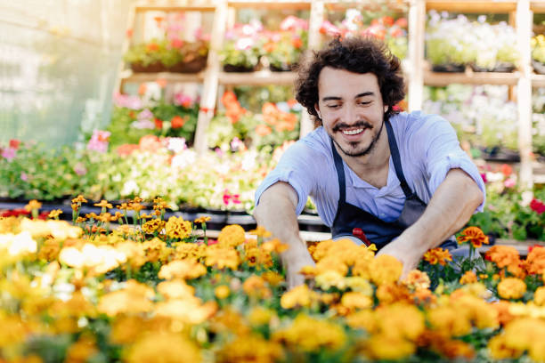 istock Busy young man in the garden center 903762796