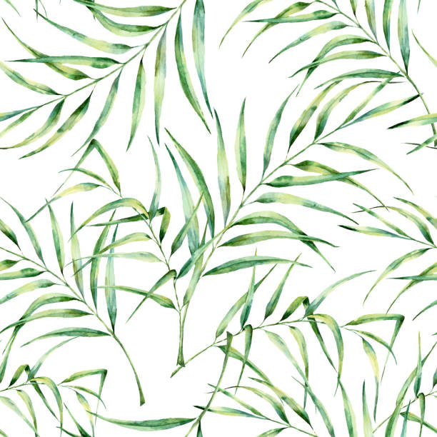 wzór akwareli z liśćmi palmy. ręcznie malowane egzotyczne gałęzi zieleni. ilustracja botaniczna. do projektowania, drukowania lub tła - pattern coconut palm tree frond textile stock illustrations