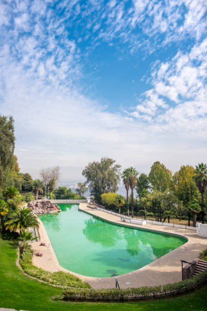 istock Swimming Pool In Metropolitan Park In Santiago, Chile 903764696