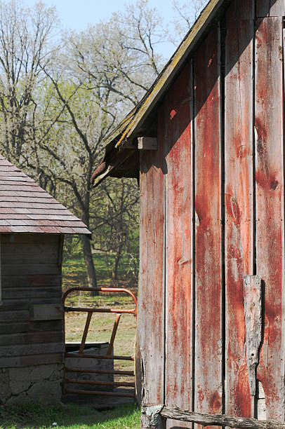 istock Morning on the Farm 90377017