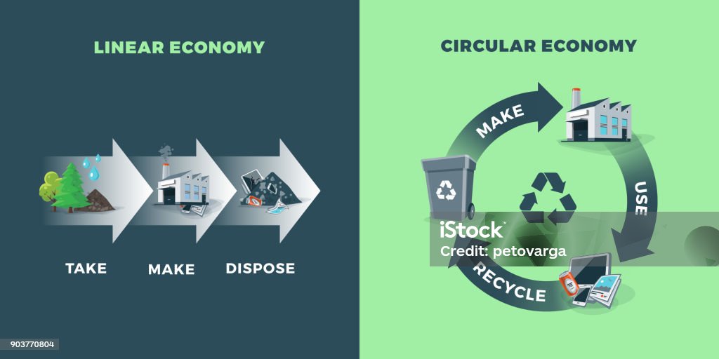 Circular and Linear Economy Compared Comparing circular and linear economy showing product life cycle. Natural resources are taken to manufacturing. After usage product is recycled or dumped. Waste recycling management concept. Economy stock vector