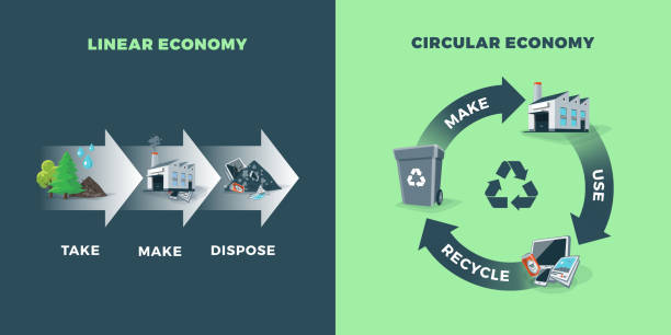 Circular and Linear Economy Compared Comparing circular and linear economy showing product life cycle. Natural resources are taken to manufacturing. After usage product is recycled or dumped. Waste recycling management concept. industry and manufacturing infographics stock illustrations