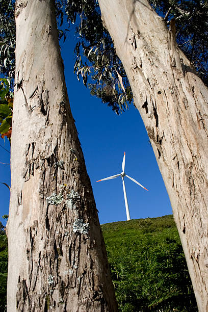 풍력발전기 12 - conservational 뉴스 사진 이미지