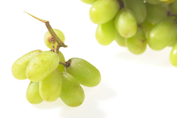 Green Grapes stock photo