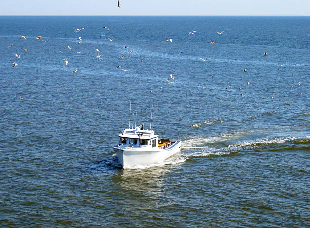 fishing boat with seagulls stock photo