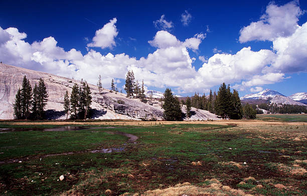 istock Tuolumne Meadows in Yosemite National Park 90378679