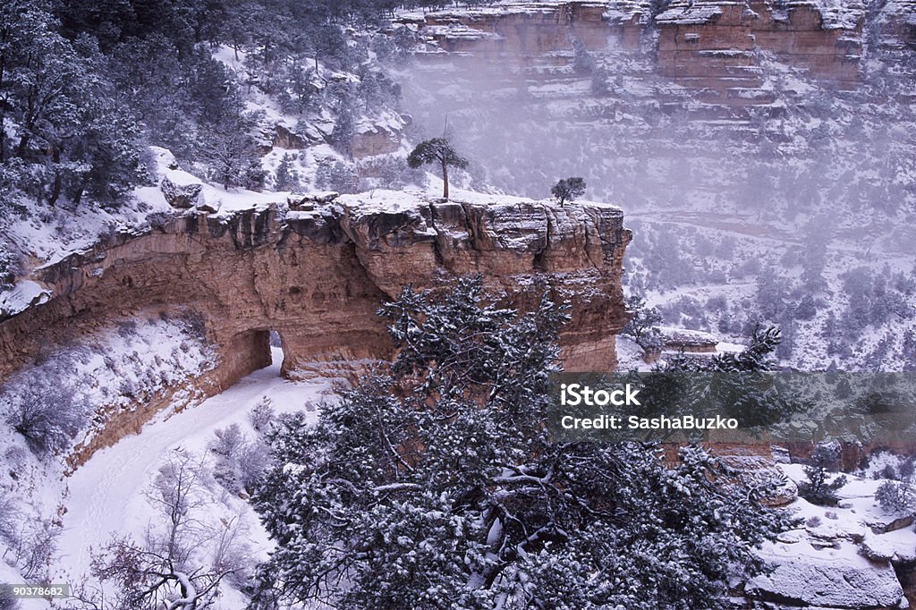 trail invernali nel Grand Canyon, USA - Foto stock royalty-free di Bright Angel Point