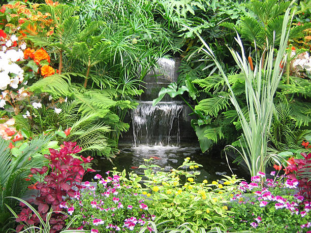 красивый тропический сады - tropical climate waterfall formal garden ornamental garden стоковые фото и изображения
