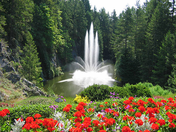 fontaine dans les magnifiques jardins de butchart - buchart gardens photos et images de collection