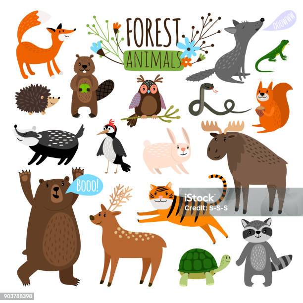 Forest Tiere Set Stock Vektor Art und mehr Bilder von Wasserschildkröte - Wasserschildkröte, Illustration, Tier