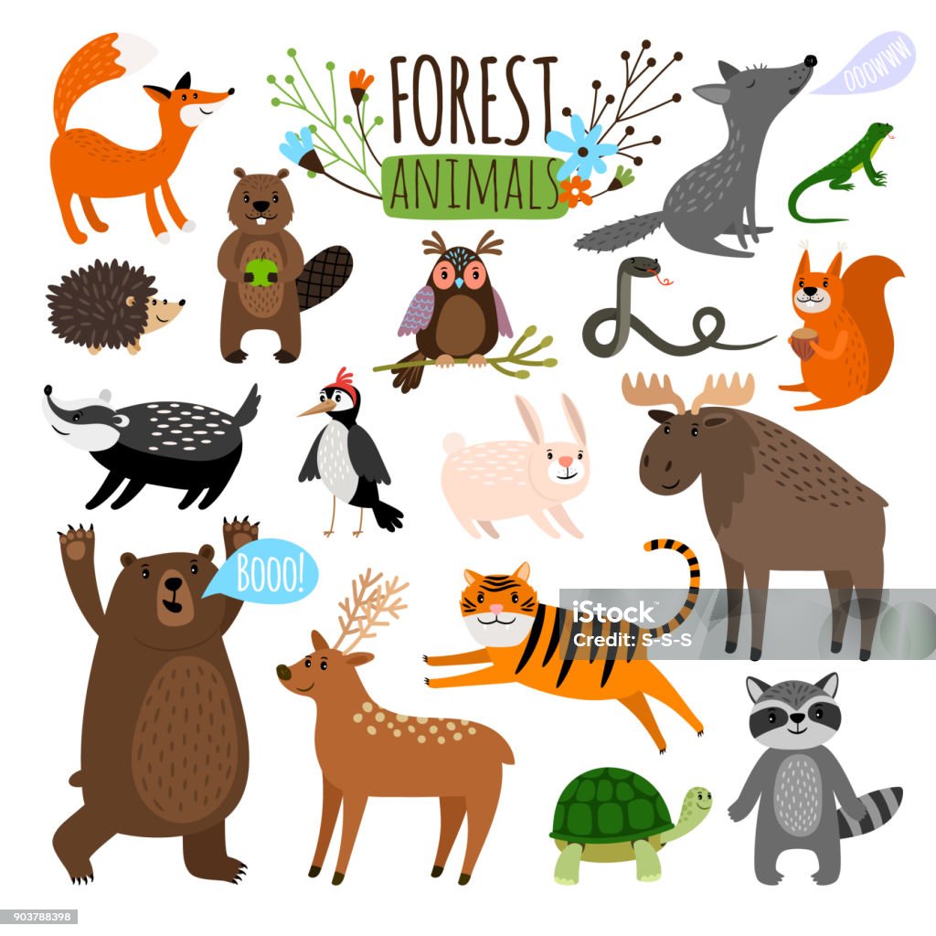 Forest animals set Forest animals. Woodland cute animal set drawing vector illustration like moose or deer and raccoon, fox and bear isolated on white Turtle stock vector