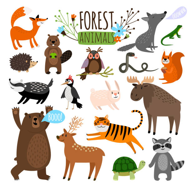 372,189 Cute Wild Animal Illustrations & Clip Art - iStock | Cute animal