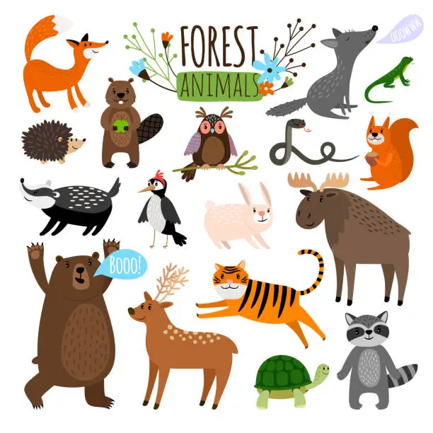 Vector illustration of Forest animals set