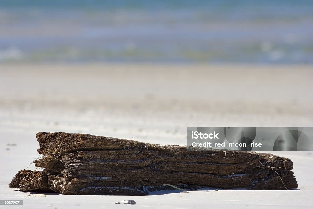 Login em uma praia - Foto de stock de Ilha de Roanoke royalty-free