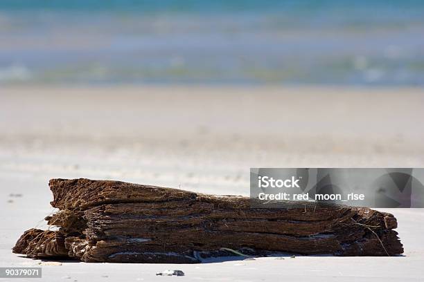 Foto de Login Em Uma Praia e mais fotos de stock de Ilha de Roanoke - Ilha de Roanoke, Ampliação, Apodrecer