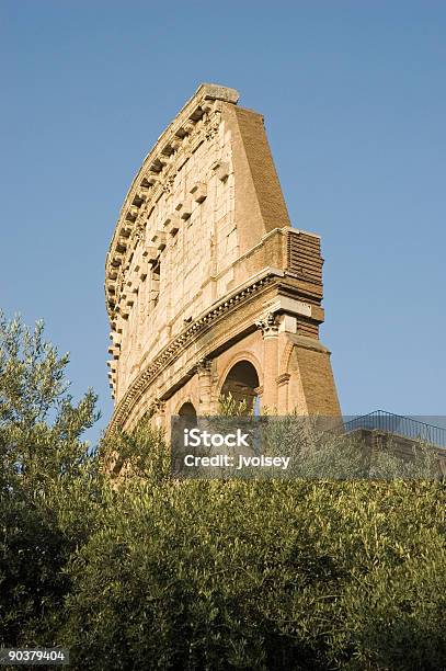 Colosseo - Fotografie stock e altre immagini di Close-up - Close-up, Colosseo, Albero