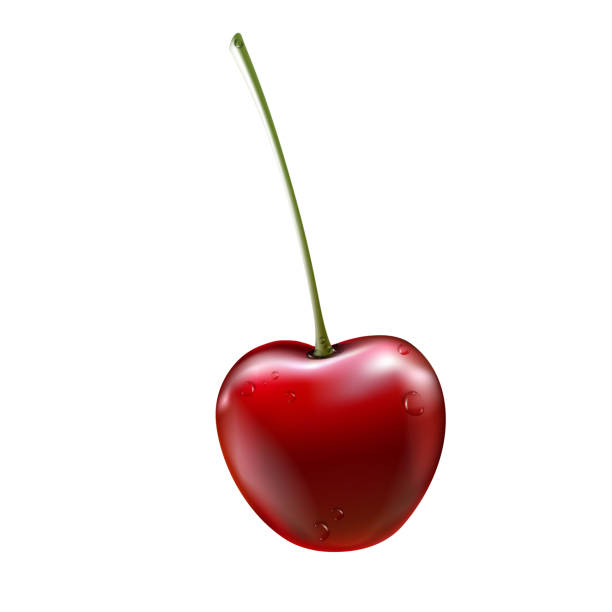 istock Red cherry. Ripe berries with stalk. Realistic vector illustration with transparent shadows isolated on plaid background. Sweet fruits. 3d vector. 903794858