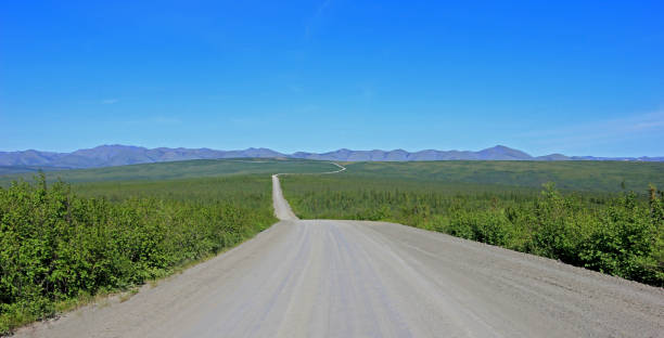 istock Endless Dempster Highway near the arctic circle, Canada 903795210