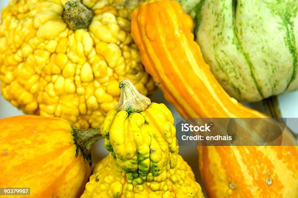 Foto de Abóboras e mais fotos de stock de Agricultura - Agricultura, Alimentação Saudável, Amarelo
