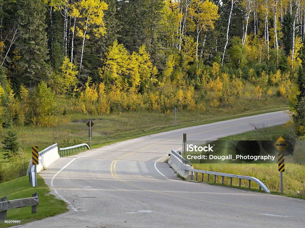 Strada curva e ponte nella foresta - Foto stock royalty-free di Saskatchewan