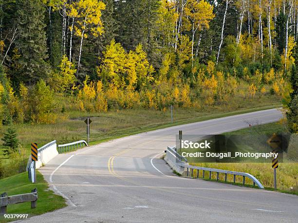 Strada Curva E Ponte Nella Foresta - Fotografie stock e altre immagini di Saskatchewan - Saskatchewan, Nord, Foresta boreale