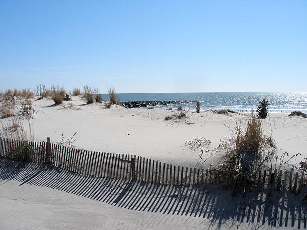 Dunes de sable - Photo