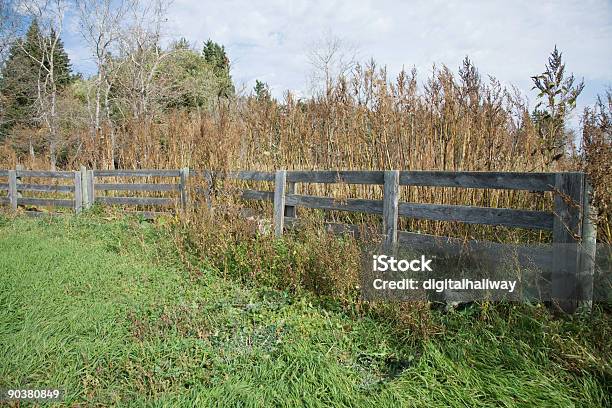 Cattle Fencing Stock Photo - Download Image Now - Agriculture, Autumn, Blue