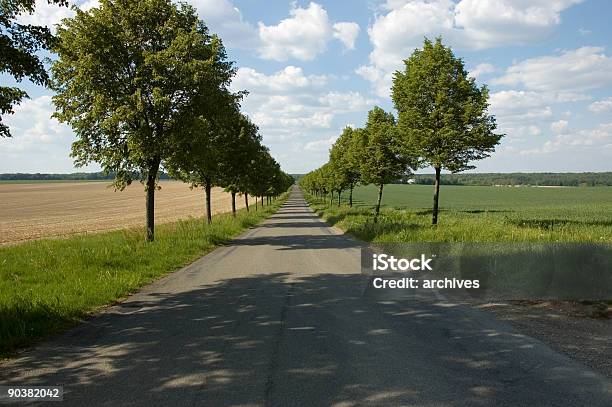 Baumgasse In Schönen Frühling Landschaft Stockfoto und mehr Bilder von Asphalt - Asphalt, Auffahrt, Auto