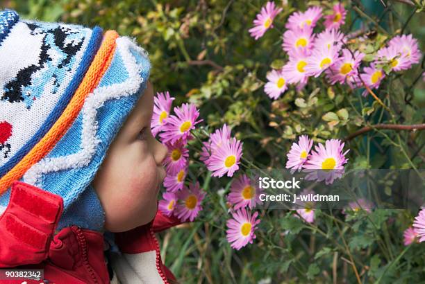 Niño Y Flores Foto de stock y más banco de imágenes de Aire libre - Aire libre, Amarillo - Color, Arbusto