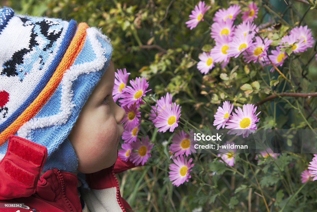 Garçon et fleurs - Photo de Automne libre de droits