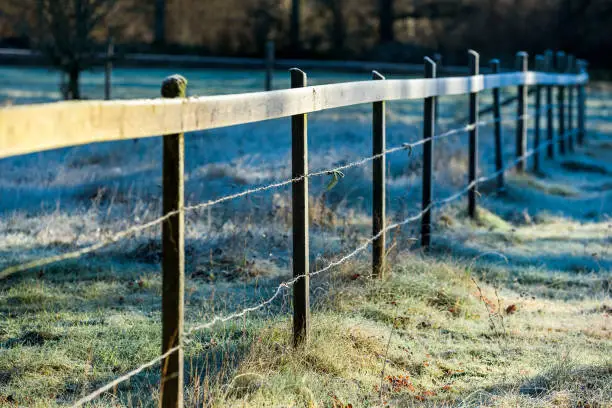 Wooden fence with barbed wire on a frosty, cold morning.