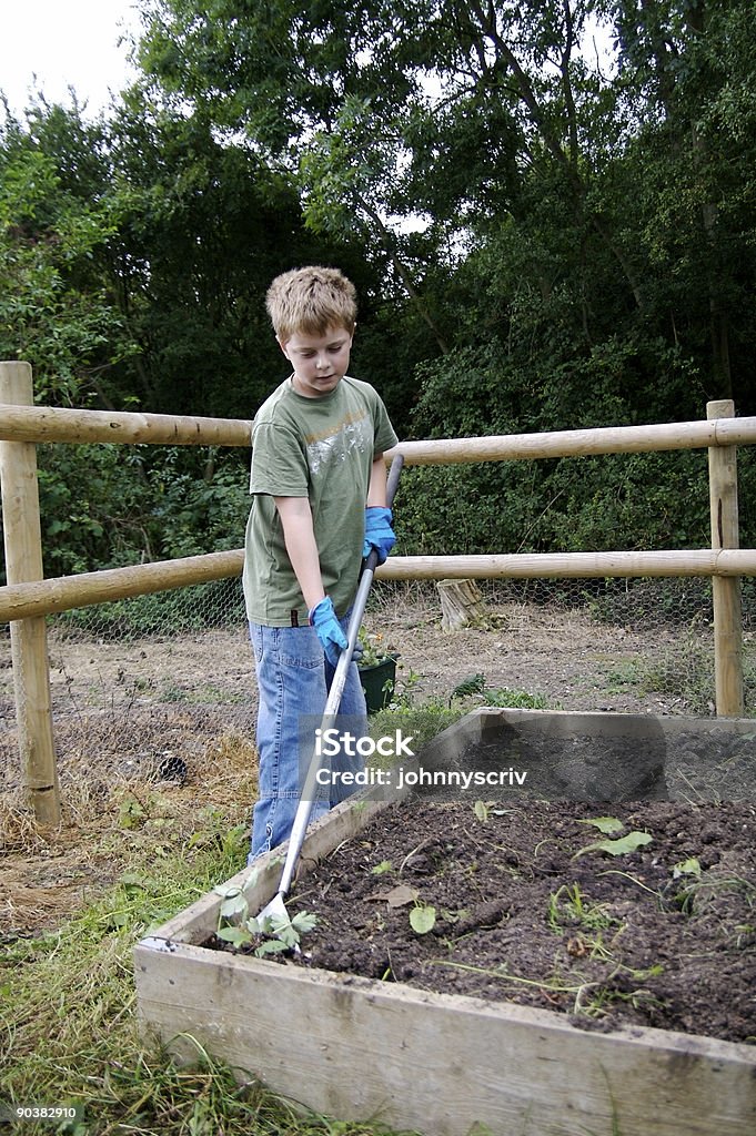 Hoeing. - Foto de stock de Adolescencia libre de derechos