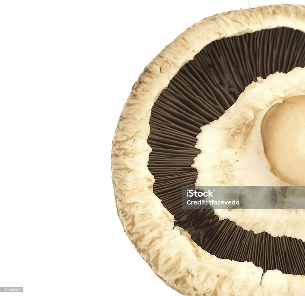cogumelo - Foto de stock de Alimentação Saudável royalty-free
