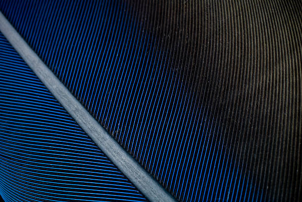 istock Close up of a birds feather 90383292