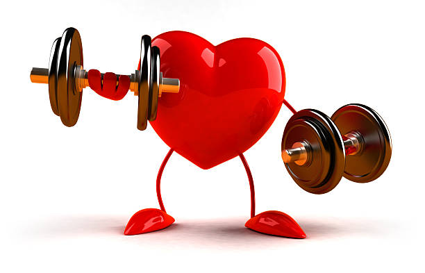 Heart with dumbbells stock photo