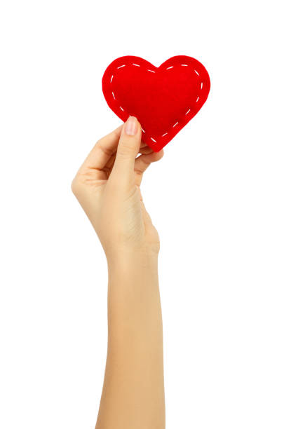 istock Hand holding a heart isolated on white background 903836696