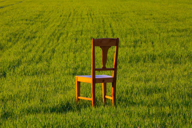 istock Chair in the barley field 903838606