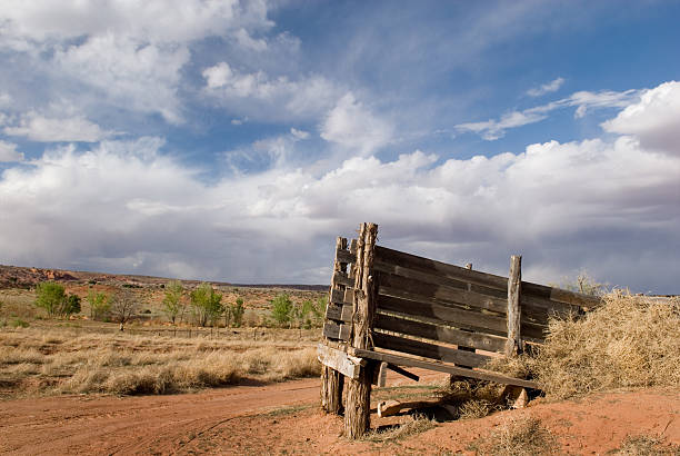 Bovino Chute paesaggio deserto - foto stock