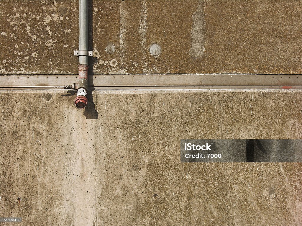 Algen an der Wand - Lizenzfrei Alge Stock-Foto