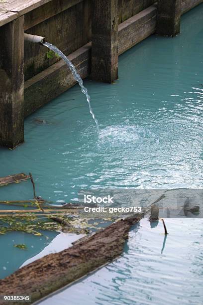 Splash Stock Photo - Download Image Now - Algae, Bacterium, Blue