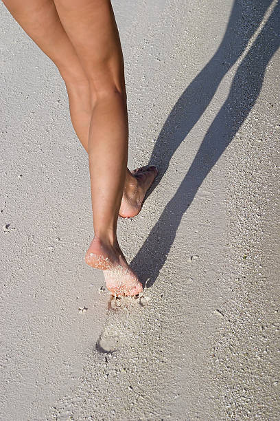 Bezlistne stopy – zdjęcie